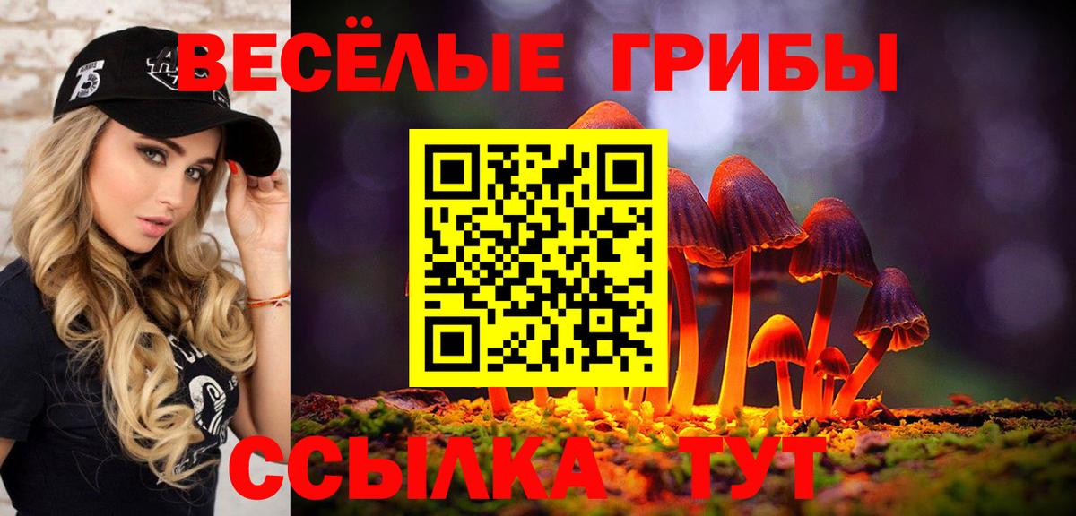 Людиново  Псилоцибиновые грибы Psilocybine cubensis  Вход с VPN 