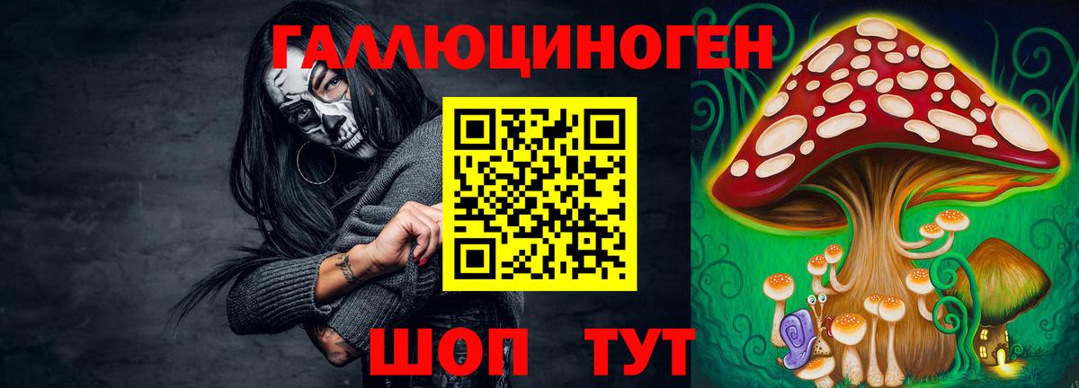 Псилоцибиновые грибы Psilocybine cubensis Людиново